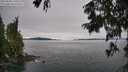 ./images/koeye/fitz-hugh/20250808/fitz-hugh20250808_140509M.jpg