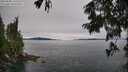 ./images/koeye/fitz-hugh/20250808/fitz-hugh20250808_141511M.jpg
