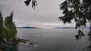 ./images/koeye/fitz-hugh/20250808/fitz-hugh20250808_143011M.jpg