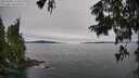 ./images/koeye/fitz-hugh/20250808/fitz-hugh20250808_143511M.jpg