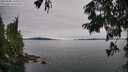 ./images/koeye/fitz-hugh/20250808/fitz-hugh20250808_145511M.jpg