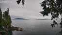 ./images/koeye/fitz-hugh/20250808/fitz-hugh20250808_152510M.jpg