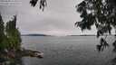 ./images/koeye/fitz-hugh/20250808/fitz-hugh20250808_154510M.jpg