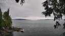 ./images/koeye/fitz-hugh/20250808/fitz-hugh20250808_155010M.jpg