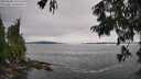 ./images/koeye/fitz-hugh/20250808/fitz-hugh20250808_155510M.jpg