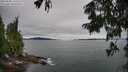 ./images/koeye/fitz-hugh/20250808/fitz-hugh20250808_162508M.jpg