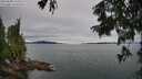 ./images/koeye/fitz-hugh/20250808/fitz-hugh20250808_163012M.jpg