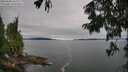 ./images/koeye/fitz-hugh/20250808/fitz-hugh20250808_165507M.jpg