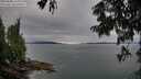 ./images/koeye/fitz-hugh/20250808/fitz-hugh20250808_170012M.jpg