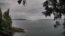 ./images/koeye/fitz-hugh/20250808/fitz-hugh20250808_171010M.jpg