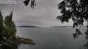./images/koeye/fitz-hugh/20250808/fitz-hugh20250808_171511M.jpg