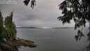 ./images/koeye/fitz-hugh/20250808/fitz-hugh20250808_174512M.jpg