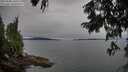 ./images/koeye/fitz-hugh/20250808/fitz-hugh20250808_180510M.jpg