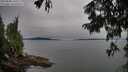 ./images/koeye/fitz-hugh/20250808/fitz-hugh20250808_181009M.jpg