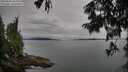 ./images/koeye/fitz-hugh/20250808/fitz-hugh20250808_183011M.jpg