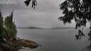./images/koeye/fitz-hugh/20250808/fitz-hugh20250808_185510M.jpg