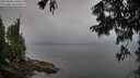 ./images/koeye/fitz-hugh/20250808/fitz-hugh20250808_190508M.jpg