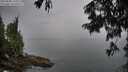 ./images/koeye/fitz-hugh/20250808/fitz-hugh20250808_195010M.jpg