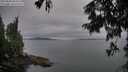 ./images/koeye/fitz-hugh/20250808/fitz-hugh20250808_204509M.jpg