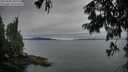 ./images/koeye/fitz-hugh/20250808/fitz-hugh20250808_205508M.jpg
