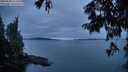 ./images/koeye/fitz-hugh/20250808/fitz-hugh20250808_211508M.jpg