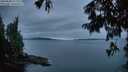 ./images/koeye/fitz-hugh/20250808/fitz-hugh20250808_212009M.jpg