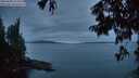 ./images/koeye/fitz-hugh/20250808/fitz-hugh20250808_212509M.jpg