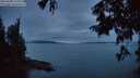 ./images/koeye/fitz-hugh/20250808/fitz-hugh20250808_213009M.jpg