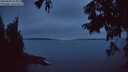 ./images/koeye/fitz-hugh/20250808/fitz-hugh20250808_214009M.jpg