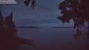 ./images/koeye/fitz-hugh/20250808/fitz-hugh20250808_215008M.jpg