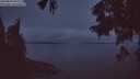 ./images/koeye/fitz-hugh/20250809/fitz-hugh20250809_052509M.jpg