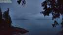 ./images/koeye/fitz-hugh/20250809/fitz-hugh20250809_054009M.jpg