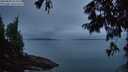 ./images/koeye/fitz-hugh/20250809/fitz-hugh20250809_054509M.jpg