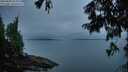./images/koeye/fitz-hugh/20250809/fitz-hugh20250809_055010M.jpg