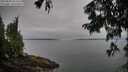 ./images/koeye/fitz-hugh/20250809/fitz-hugh20250809_065510M.jpg