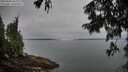 ./images/koeye/fitz-hugh/20250809/fitz-hugh20250809_070011M.jpg