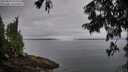 ./images/koeye/fitz-hugh/20250809/fitz-hugh20250809_071010M.jpg