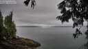 ./images/koeye/fitz-hugh/20250809/fitz-hugh20250809_072011M.jpg