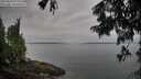 ./images/koeye/fitz-hugh/20250809/fitz-hugh20250809_074010M.jpg