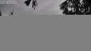 ./images/koeye/fitz-hugh/20250809/fitz-hugh20250809_074510M.jpg