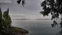 ./images/koeye/fitz-hugh/20250809/fitz-hugh20250809_075510M.jpg