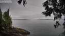 ./images/koeye/fitz-hugh/20250809/fitz-hugh20250809_080011M.jpg