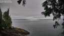 ./images/koeye/fitz-hugh/20250809/fitz-hugh20250809_080510M.jpg