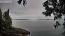 ./images/koeye/fitz-hugh/20250809/fitz-hugh20250809_081512M.jpg