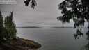 ./images/koeye/fitz-hugh/20250809/fitz-hugh20250809_082009M.jpg