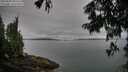 ./images/koeye/fitz-hugh/20250809/fitz-hugh20250809_082510M.jpg