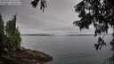 ./images/koeye/fitz-hugh/20250809/fitz-hugh20250809_083510M.jpg