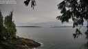 ./images/koeye/fitz-hugh/20250809/fitz-hugh20250809_085509M.jpg