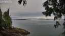 ./images/koeye/fitz-hugh/20250809/fitz-hugh20250809_090011M.jpg