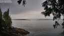 ./images/koeye/fitz-hugh/20250809/fitz-hugh20250809_090511M.jpg